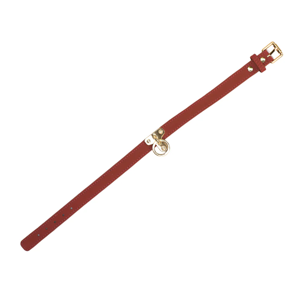 COLLAR - RED - Image 3