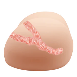 Vagina And Anal Masturbator Judy Flesh - Image 3